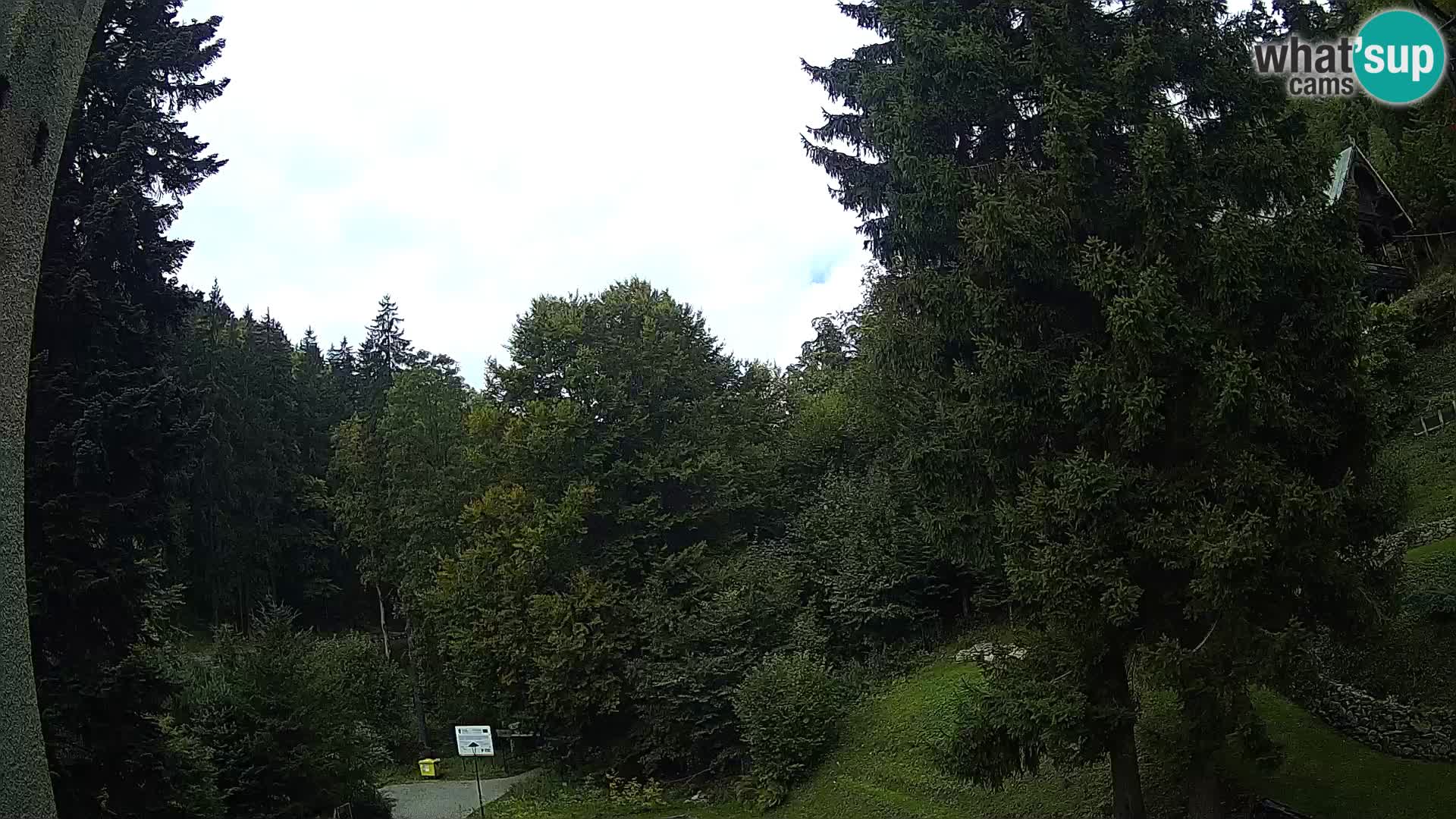 Webcam Spalona – centro scii da fondo live cam montagne Bystrzycki
