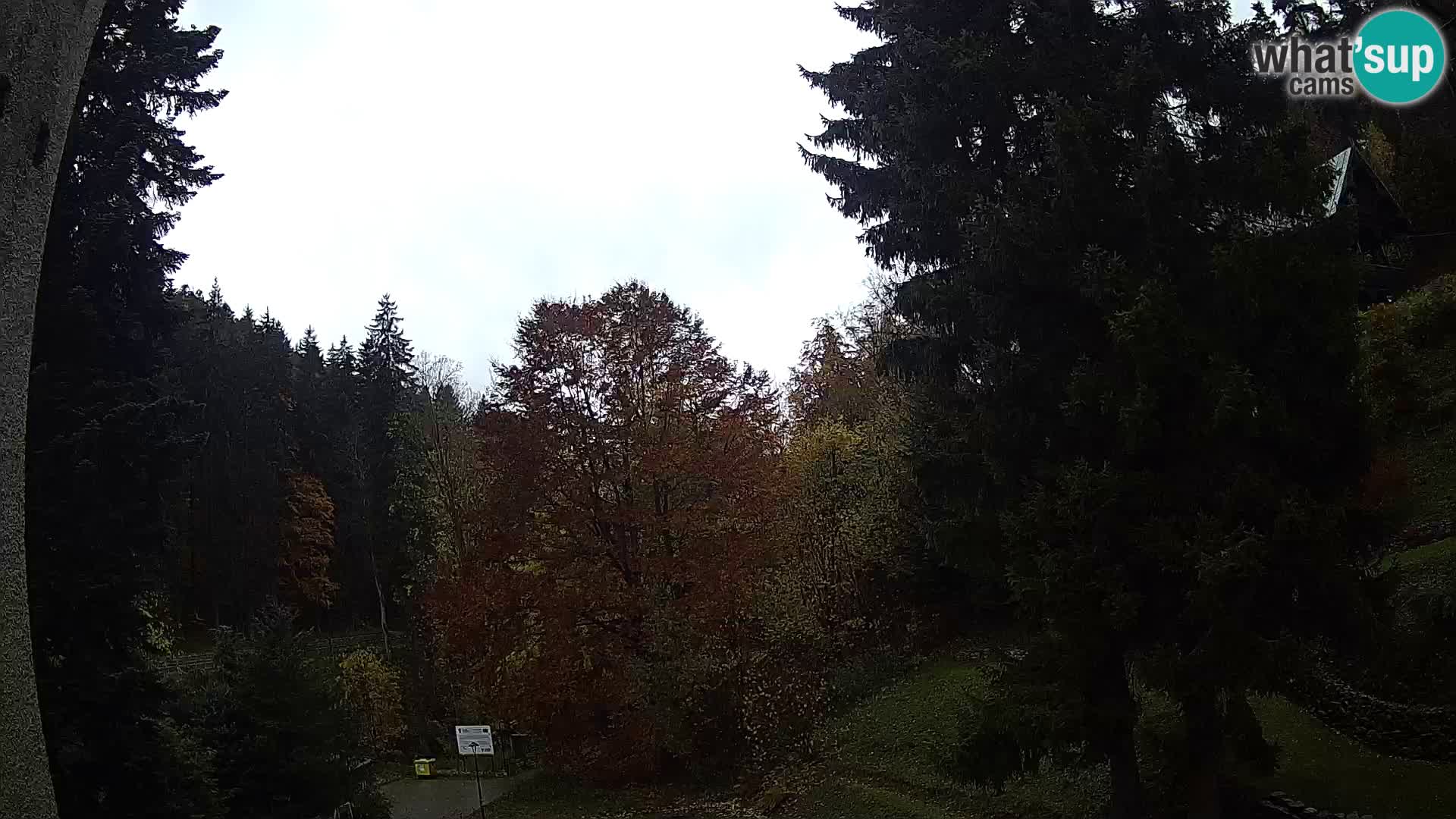 LIVE Webcam Spalona – Cross Country Ski Resort livecam Bystrzyckie Mountains