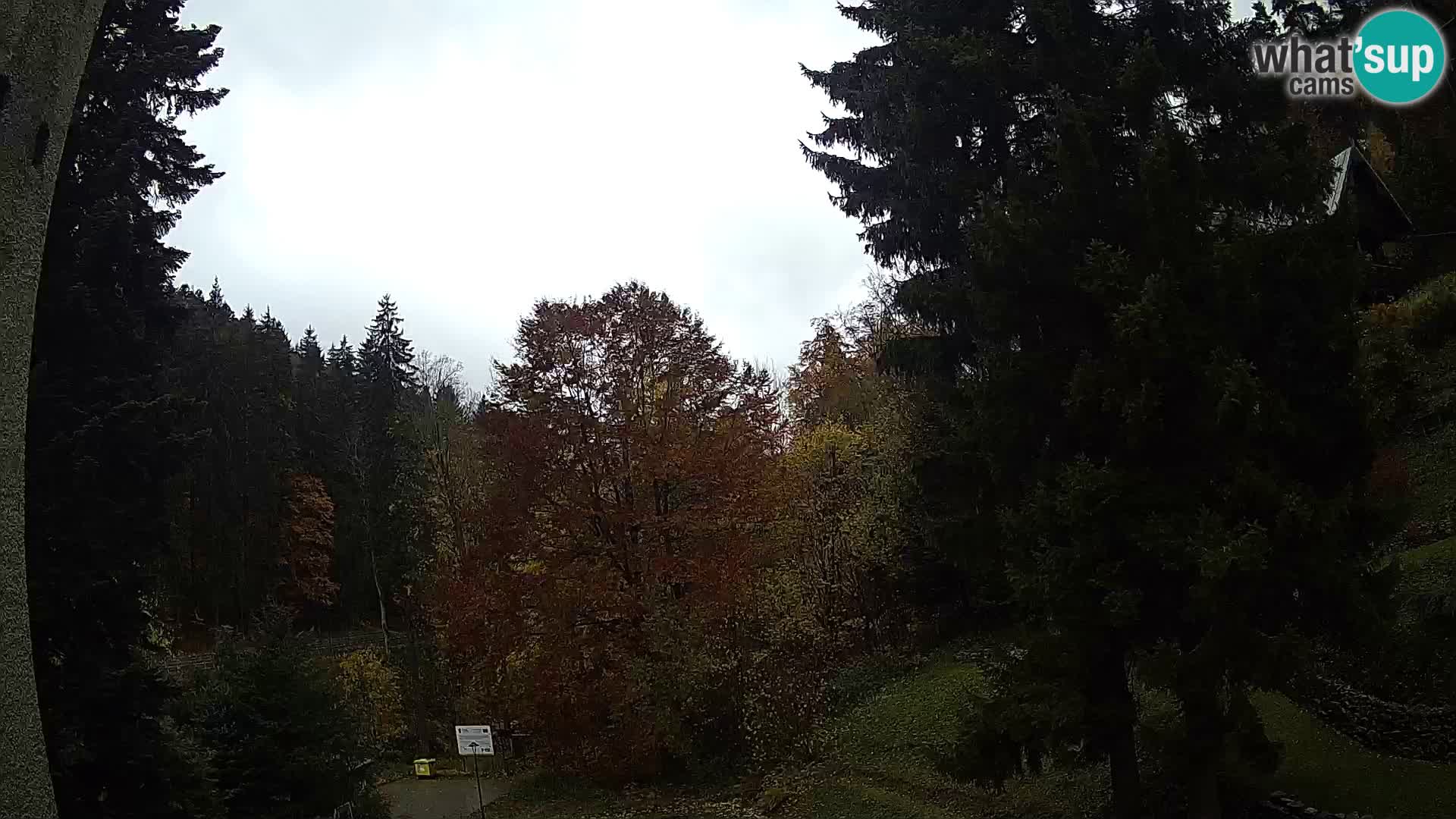 LIVE Webcam Spalona – Cross Country Ski Resort livecam Bystrzyckie Mountains