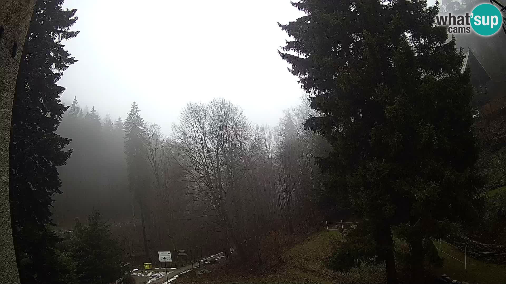 Webcam Spalona – centro scii da fondo live cam montagne Bystrzycki