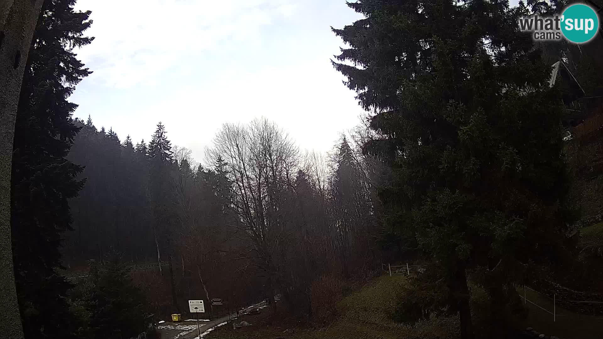 LIVE cam Spalona – Station de ski de fond Spalona webcam Montagnes Bystrzyckie