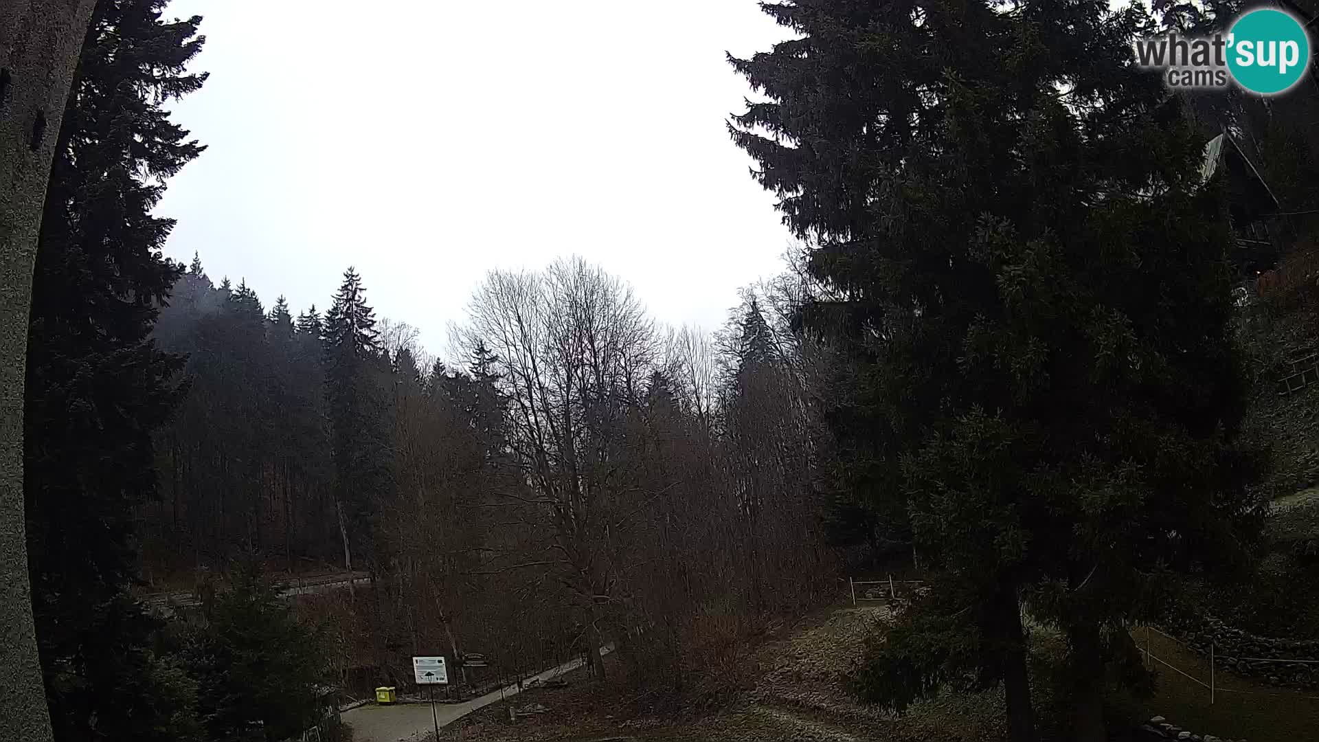 LIVE cam Spalona – Station de ski de fond Spalona webcam Montagnes Bystrzyckie