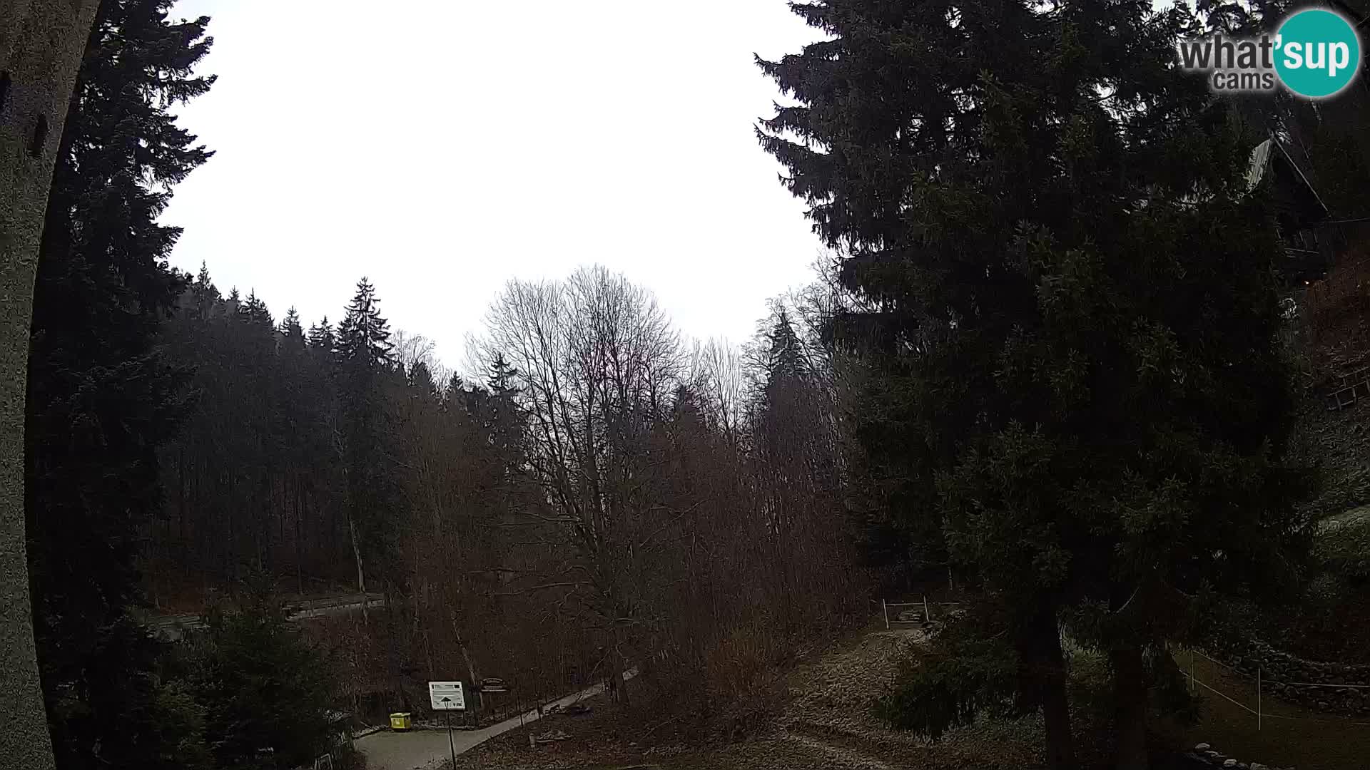 LIVE Webcam Spalona – Cross Country Ski Resort livecam Bystrzyckie Mountains