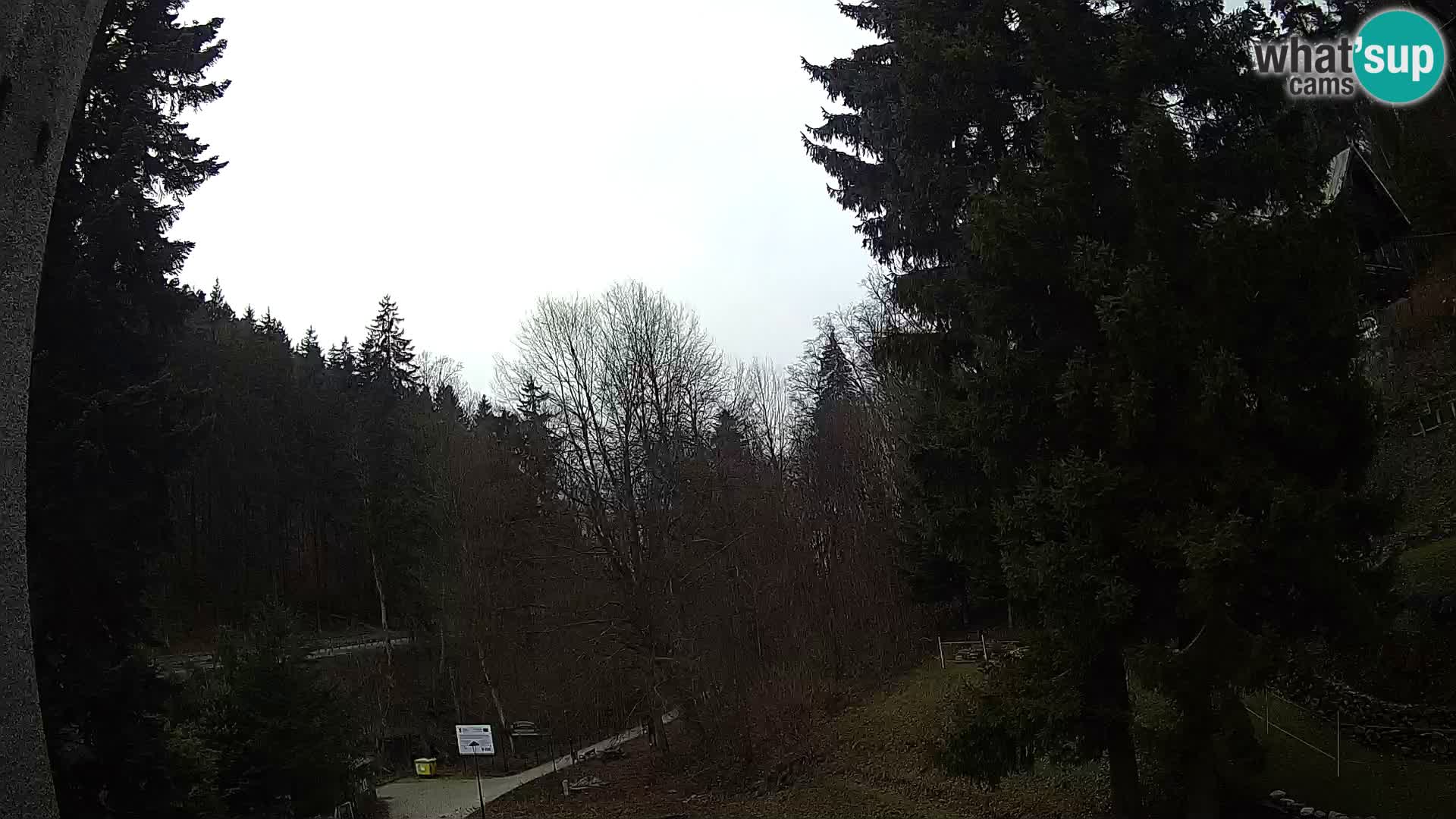 LIVE cam Spalona – Station de ski de fond Spalona webcam Montagnes Bystrzyckie