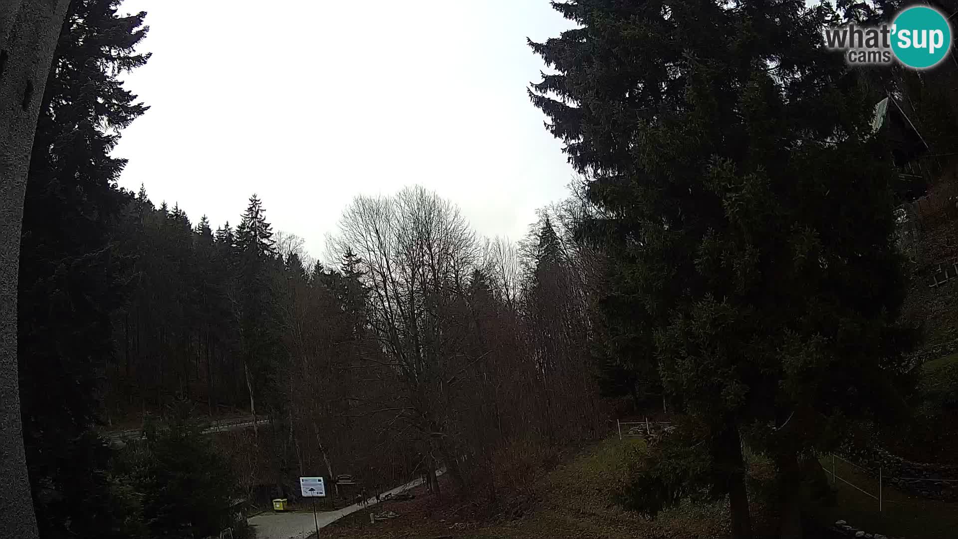 Webcam Spalona – centro scii da fondo live cam montagne Bystrzycki