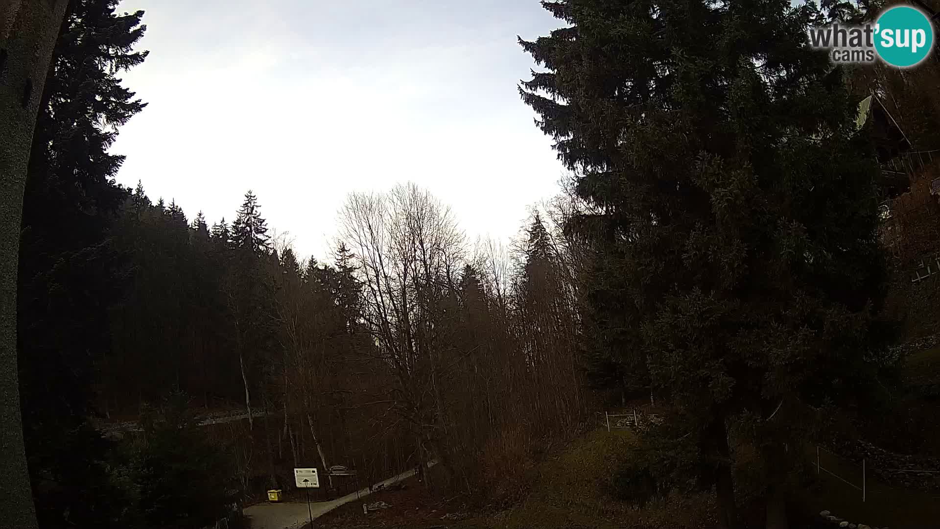 Webcam Spalona – centro scii da fondo live cam montagne Bystrzycki