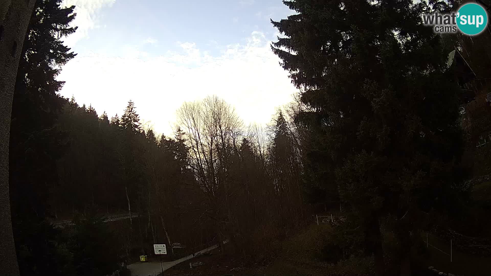 Webcam Spalona – centro scii da fondo live cam montagne Bystrzycki