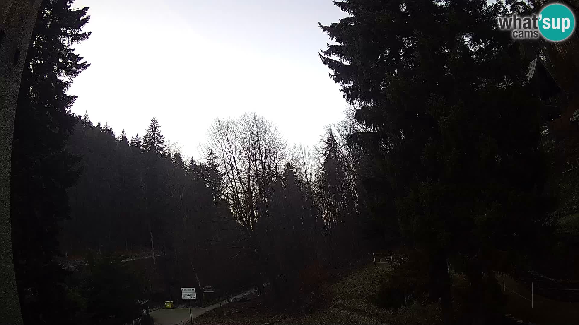 LIVE Webcam Spalona – Cross Country Ski Resort livecam Bystrzyckie Mountains