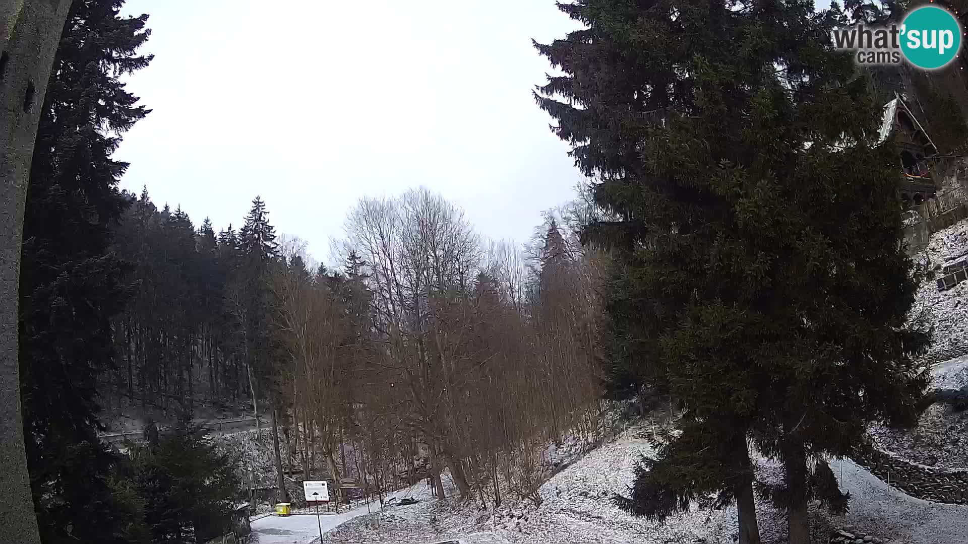 LIVE Webcam Spalona – Cross Country Ski Resort livecam Bystrzyckie Mountains