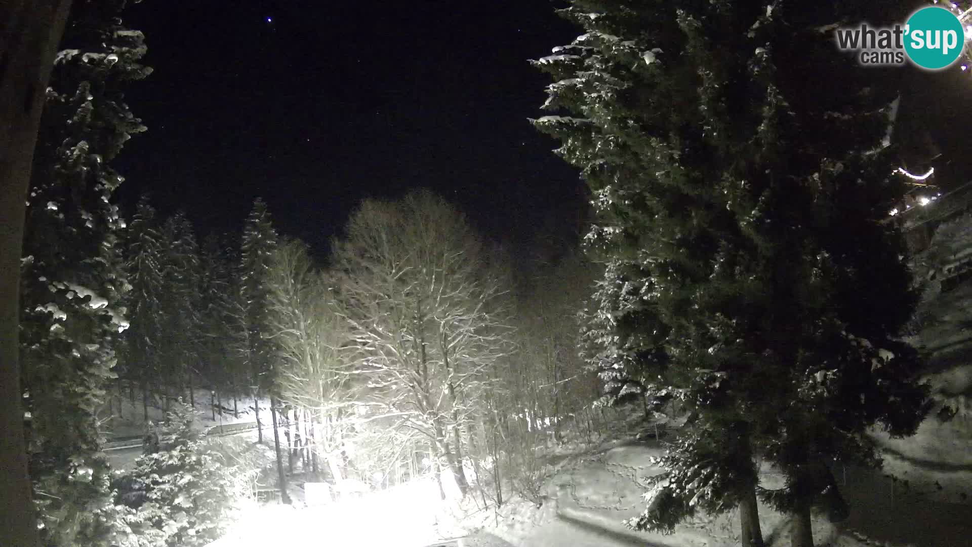 Webcam Spalona – centro scii da fondo live cam montagne Bystrzycki