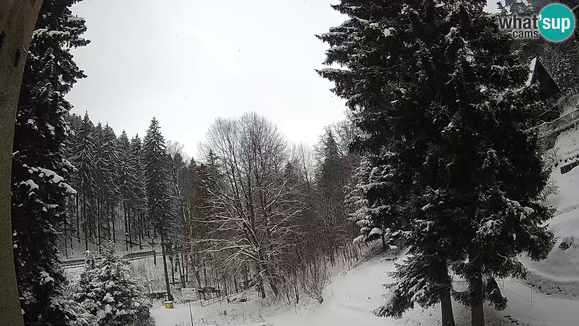 LIVE Webcam Spalona – Cross Country Ski Resort livecam Bystrzyckie Mountains