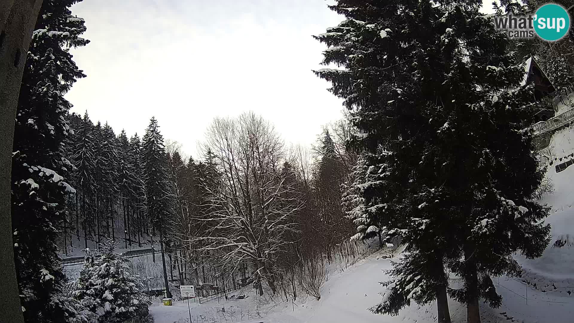Camera en vivo Spalona – Estación de esquí de fondo webcam Montañas Bystrzyckie
