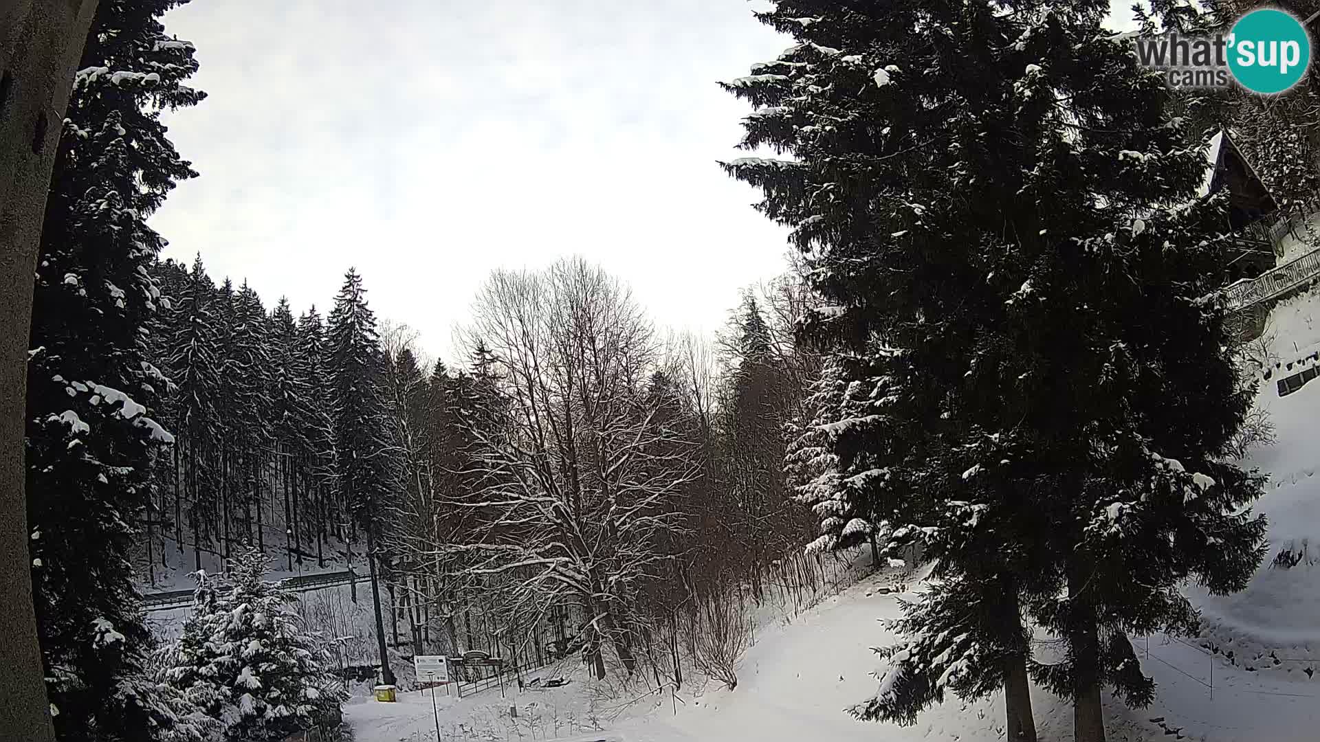 Spletna kamera Spalona – tekaški center v živo planine Bystrzyckie