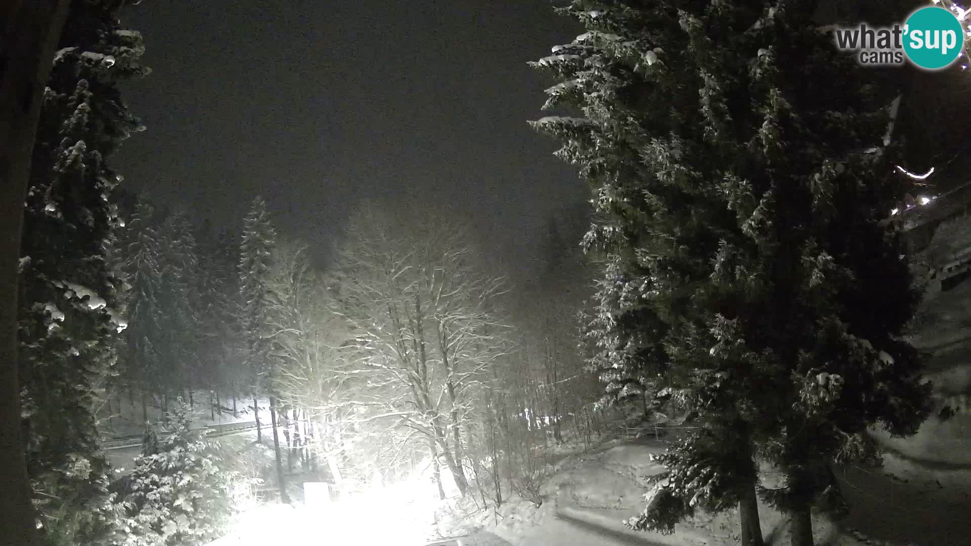 LIVE cam Spalona – Station de ski de fond Spalona webcam Montagnes Bystrzyckie