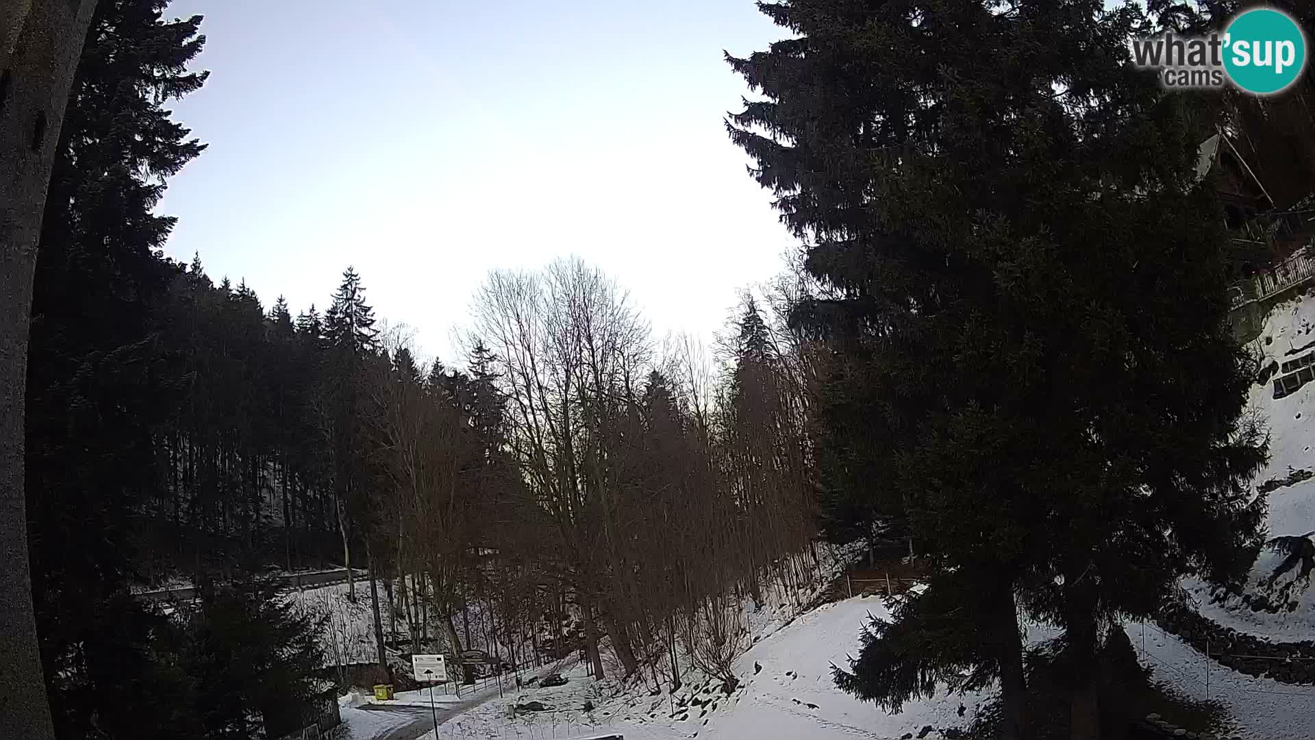 LIVE Webcam Spalona – Cross Country Ski Resort livecam Bystrzyckie Mountains