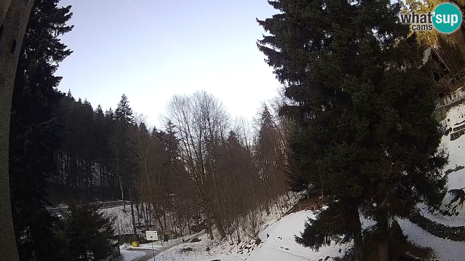 Webcam Spalona – centro scii da fondo live cam montagne Bystrzycki