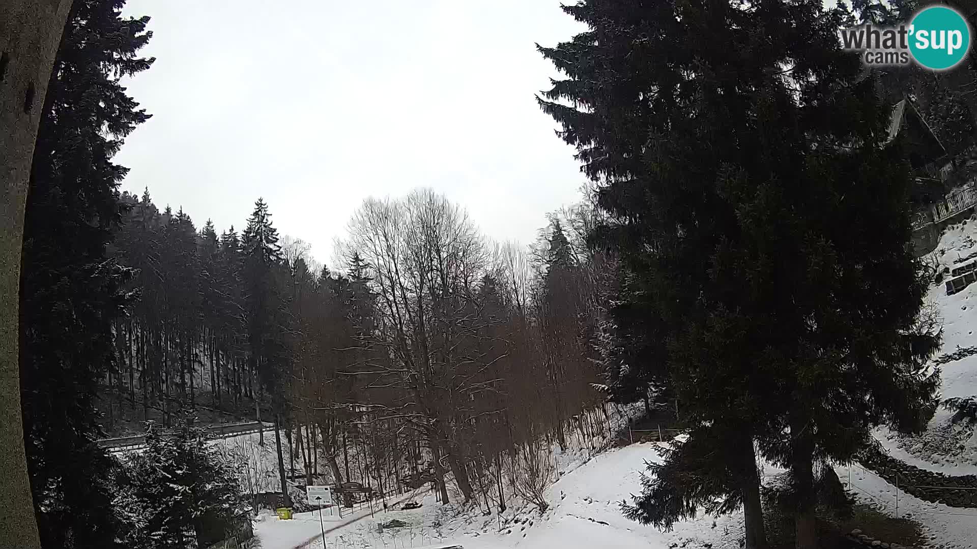 LIVE Webcam Spalona – Cross Country Ski Resort livecam Bystrzyckie Mountains