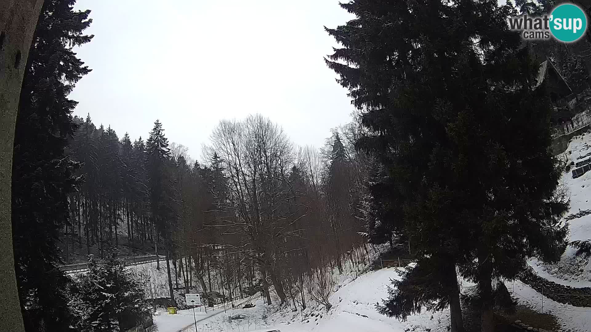 LIVE cam Spalona – Station de ski de fond Spalona webcam Montagnes Bystrzyckie