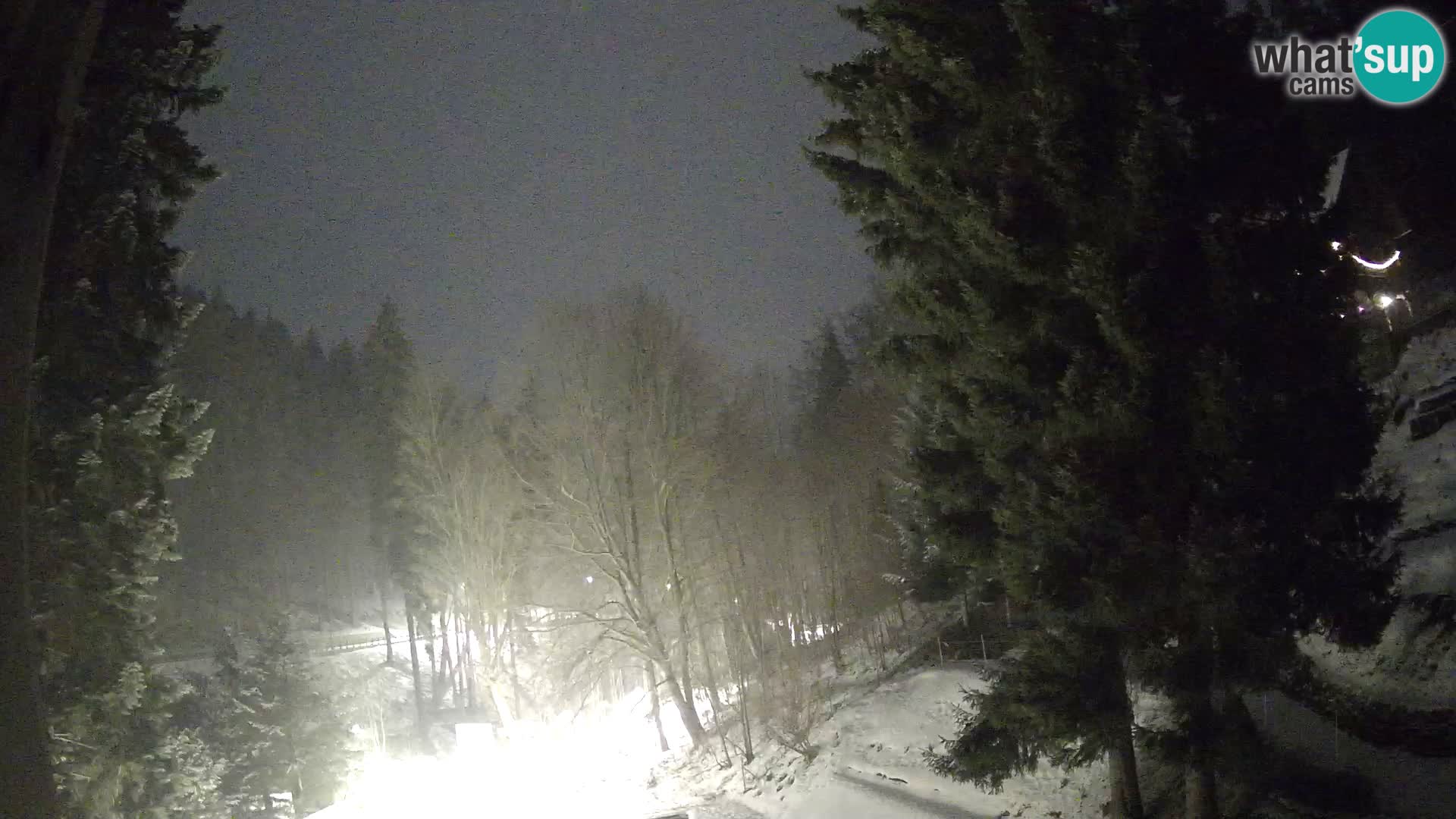 LIVE Webcam Spalona – Langlaufgebiet livecam Bystrzyckie Berge