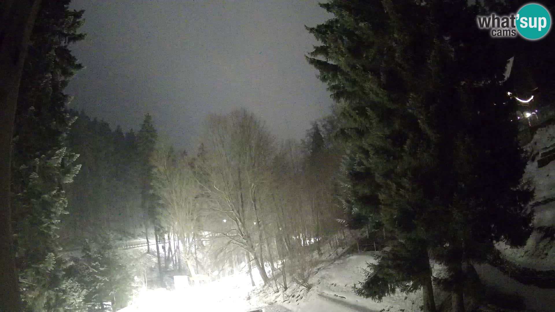 LIVE Webcam Spalona – Cross Country Ski Resort livecam Bystrzyckie Mountains