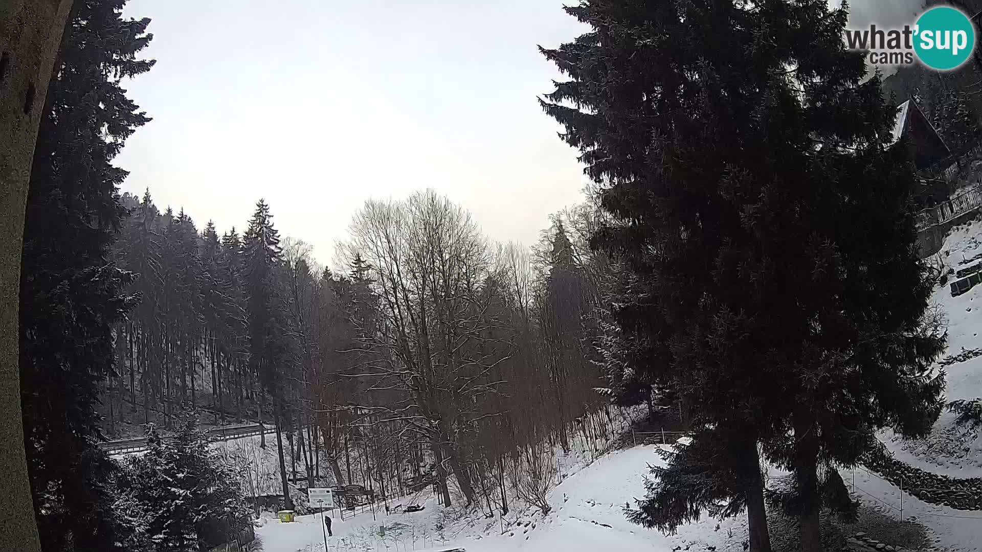 LIVE Webcam Spalona – Langlaufgebiet livecam Bystrzyckie Berge