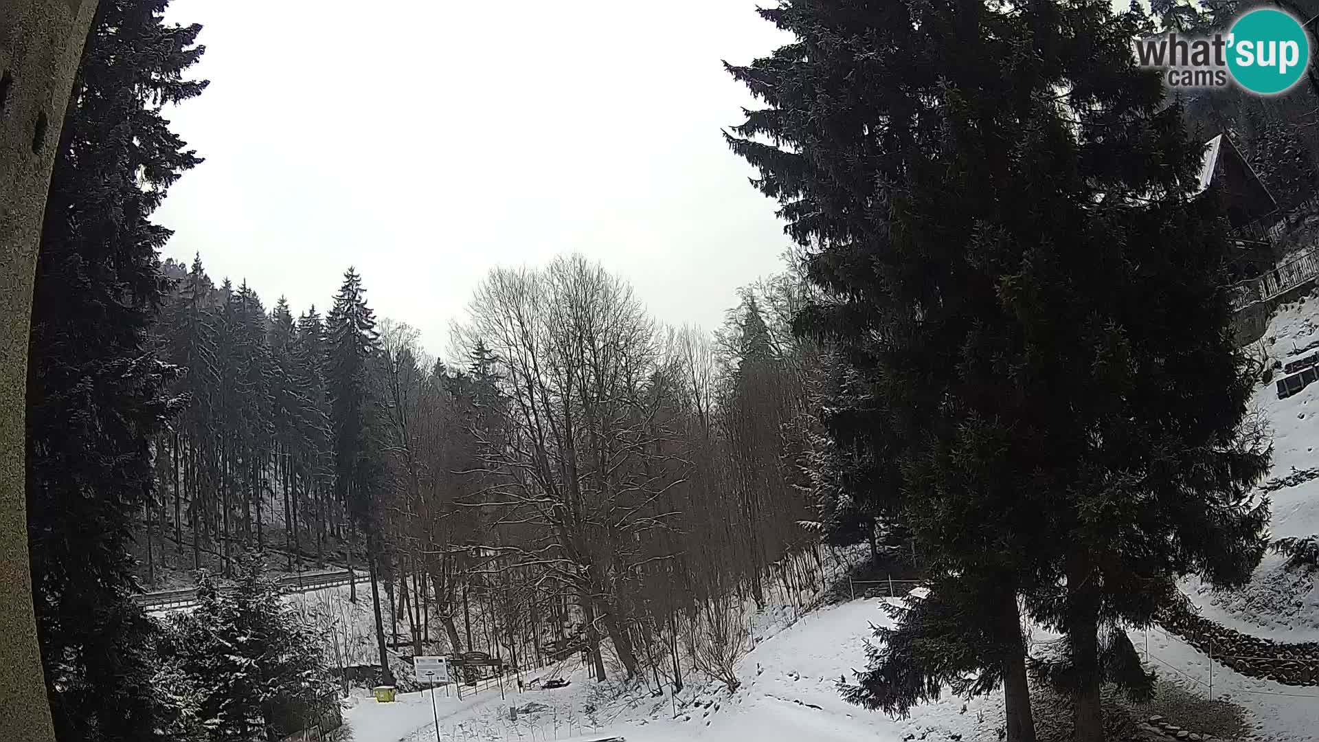 Webcam Spalona – centro scii da fondo live cam montagne Bystrzycki