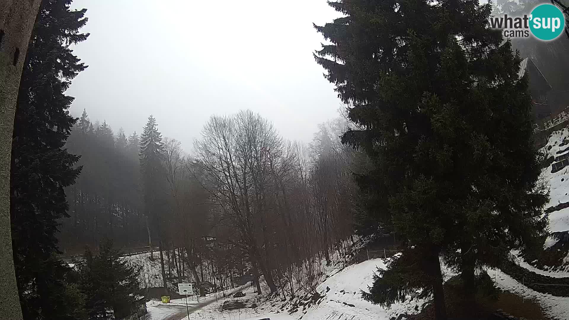 LIVE Webcam Spalona – Cross Country Ski Resort livecam Bystrzyckie Mountains