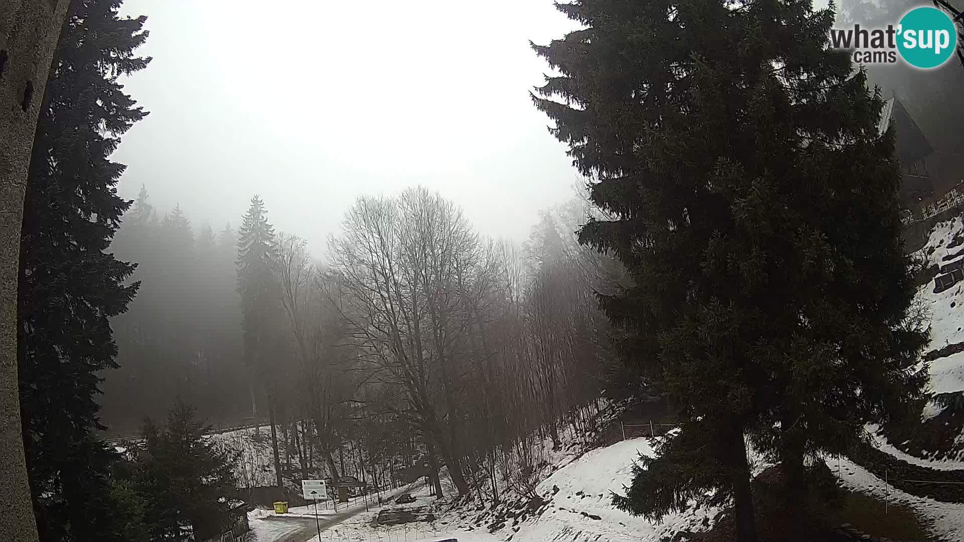 LIVE cam Spalona – Station de ski de fond Spalona webcam Montagnes Bystrzyckie