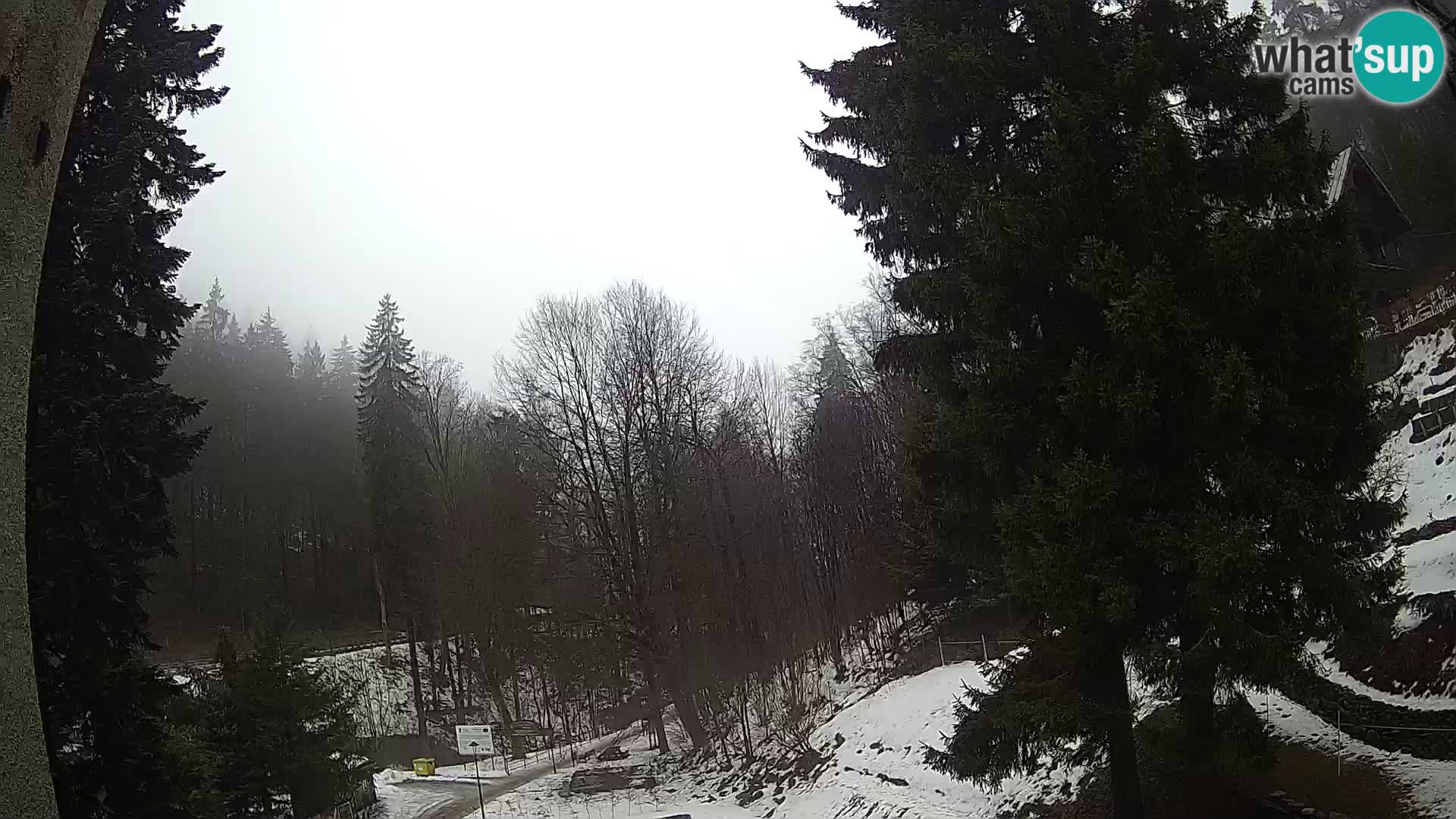 LIVE Webcam Spalona – Langlaufgebiet livecam Bystrzyckie Berge