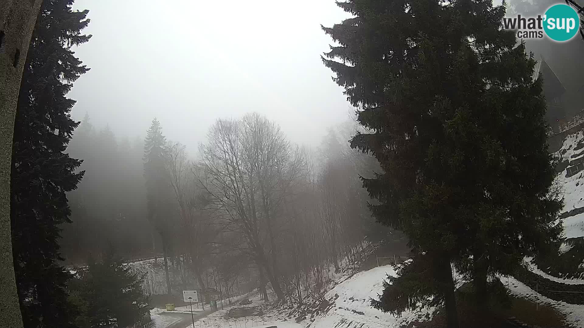 Camera en vivo Spalona – Estación de esquí de fondo webcam Montañas Bystrzyckie