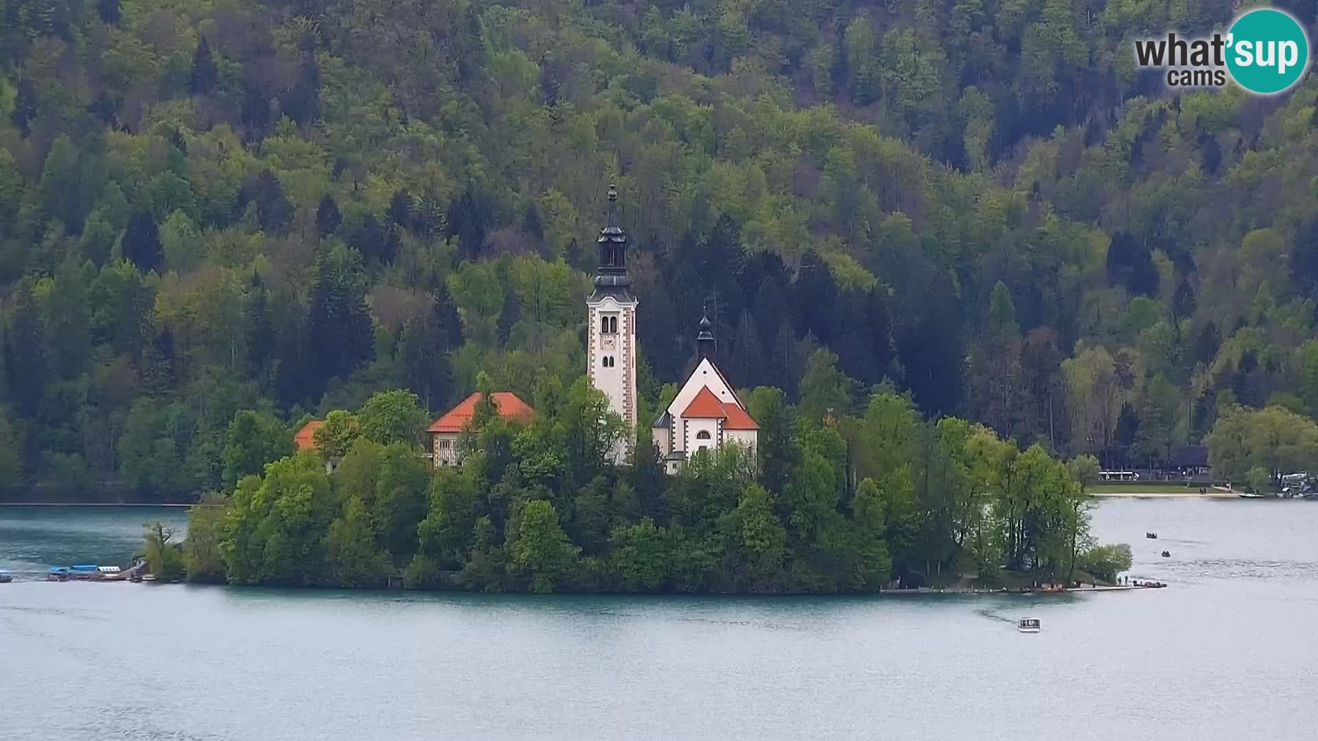 Bled, SLO