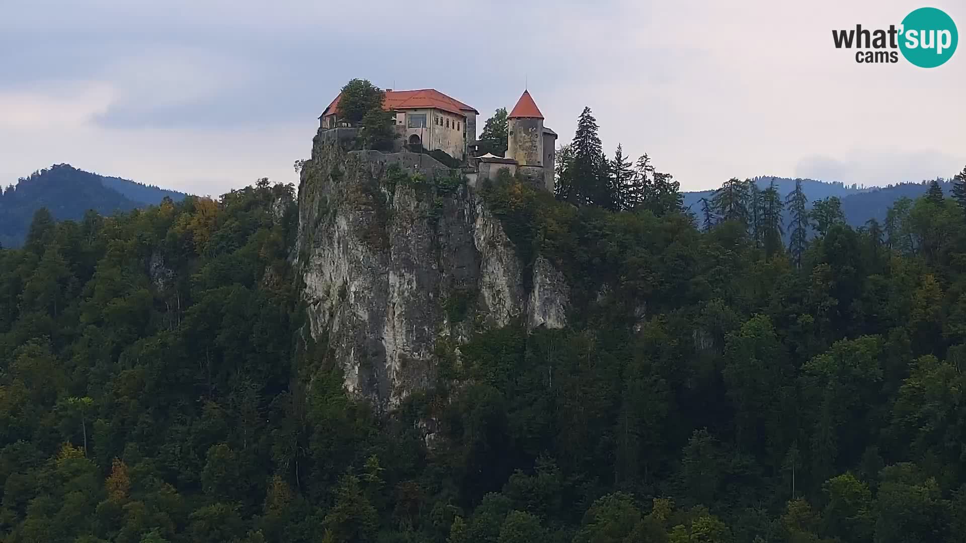 Panorama des Sees Bled