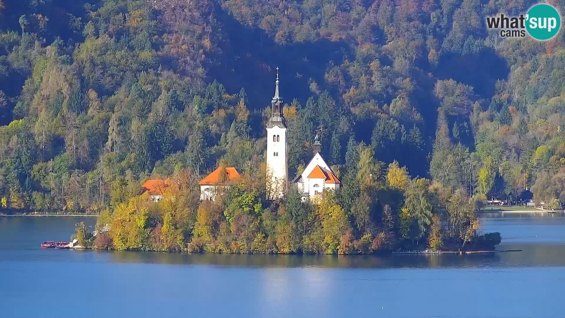 Panorama del lago Bled