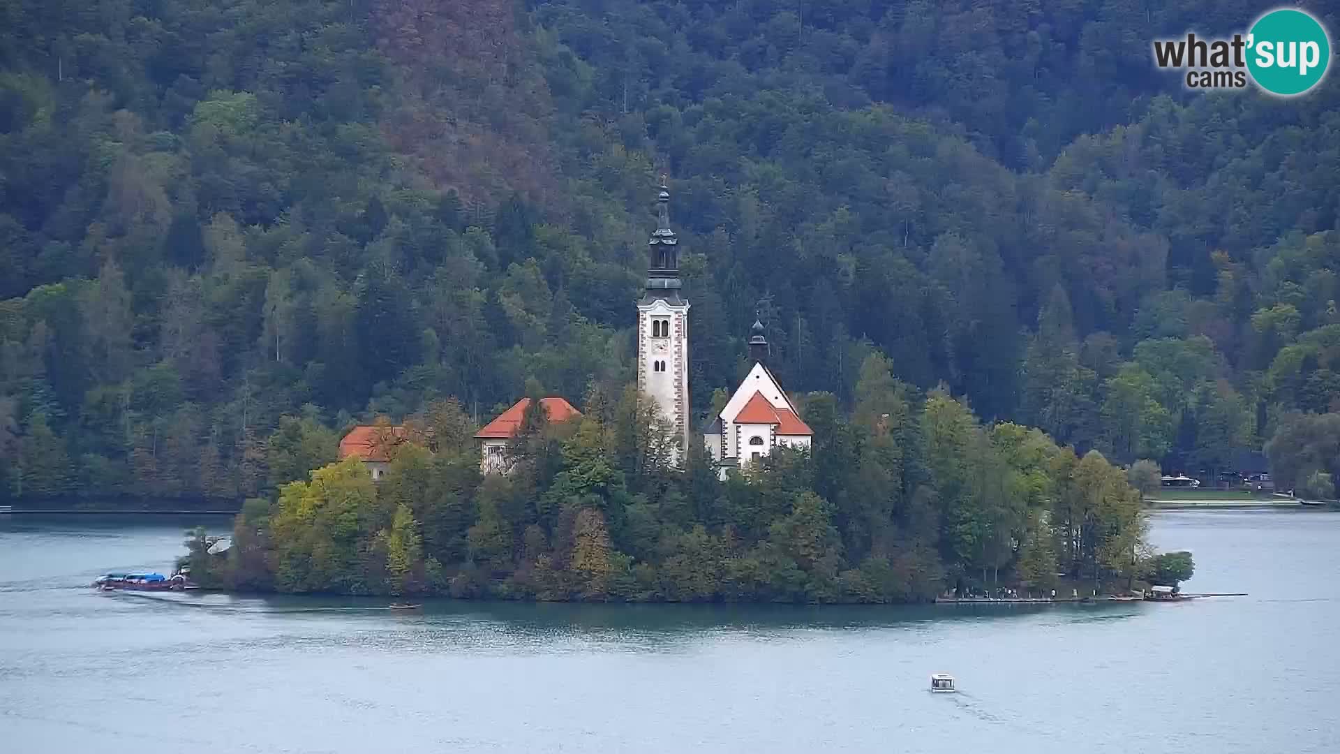 Panorama del lago Bled