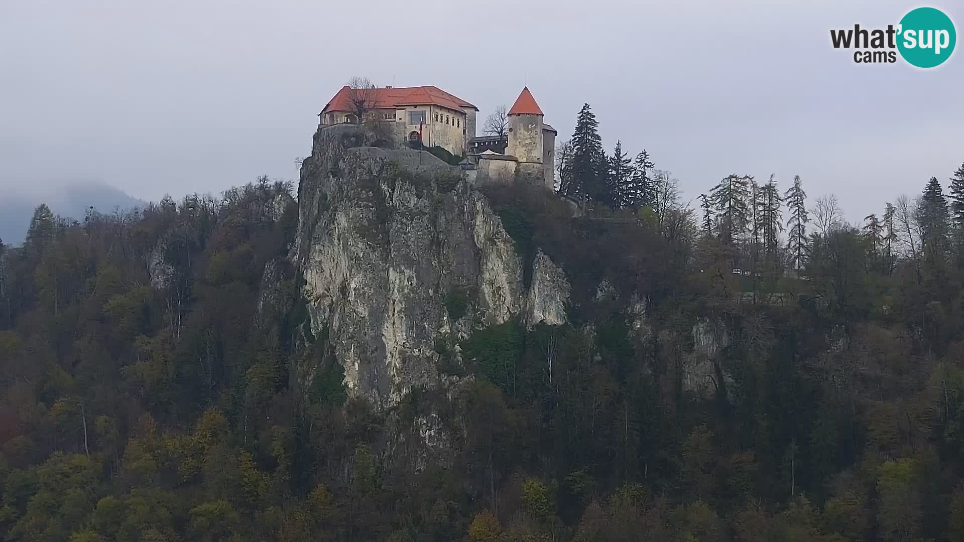 Panorama del lago Bled