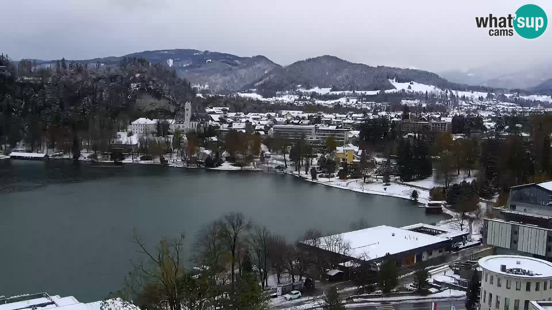 Panorama des Sees Bled