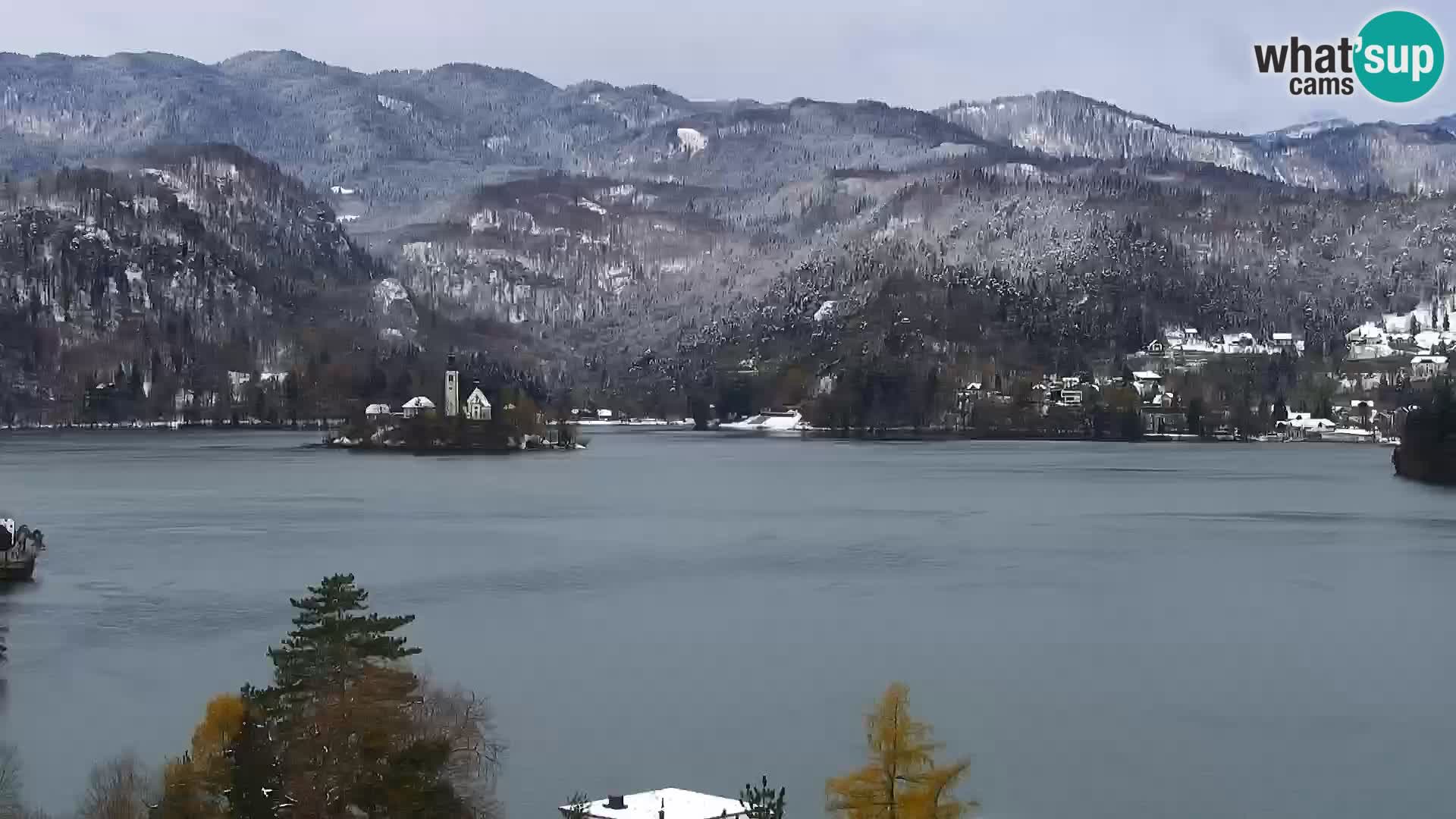 Panorama des Sees Bled