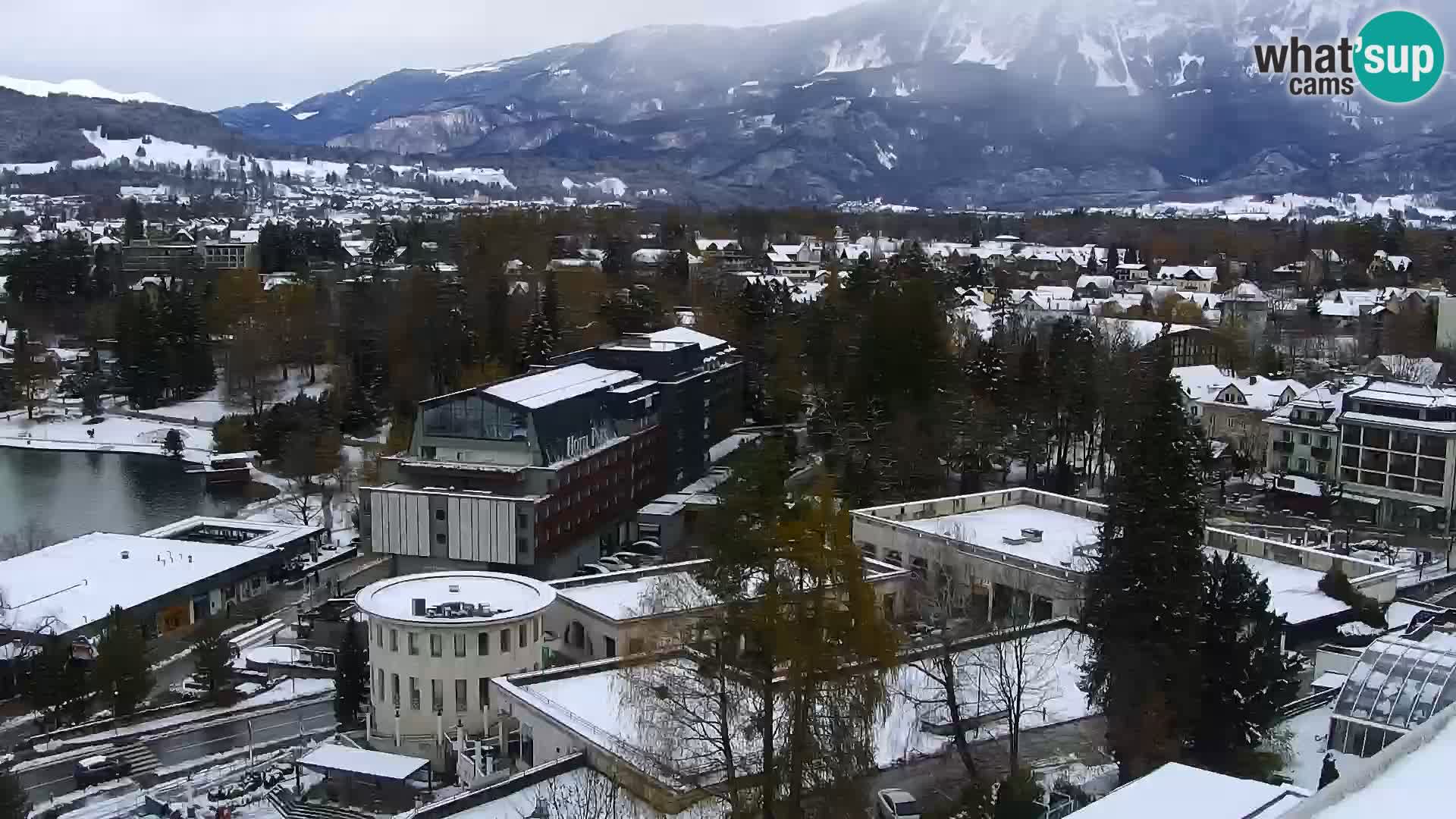 Panorama des Sees Bled