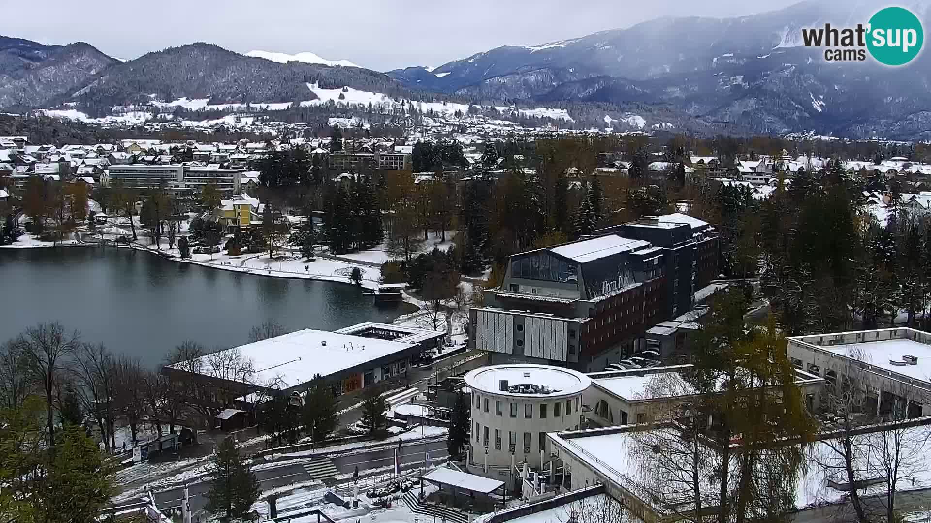 Panorama des Sees Bled