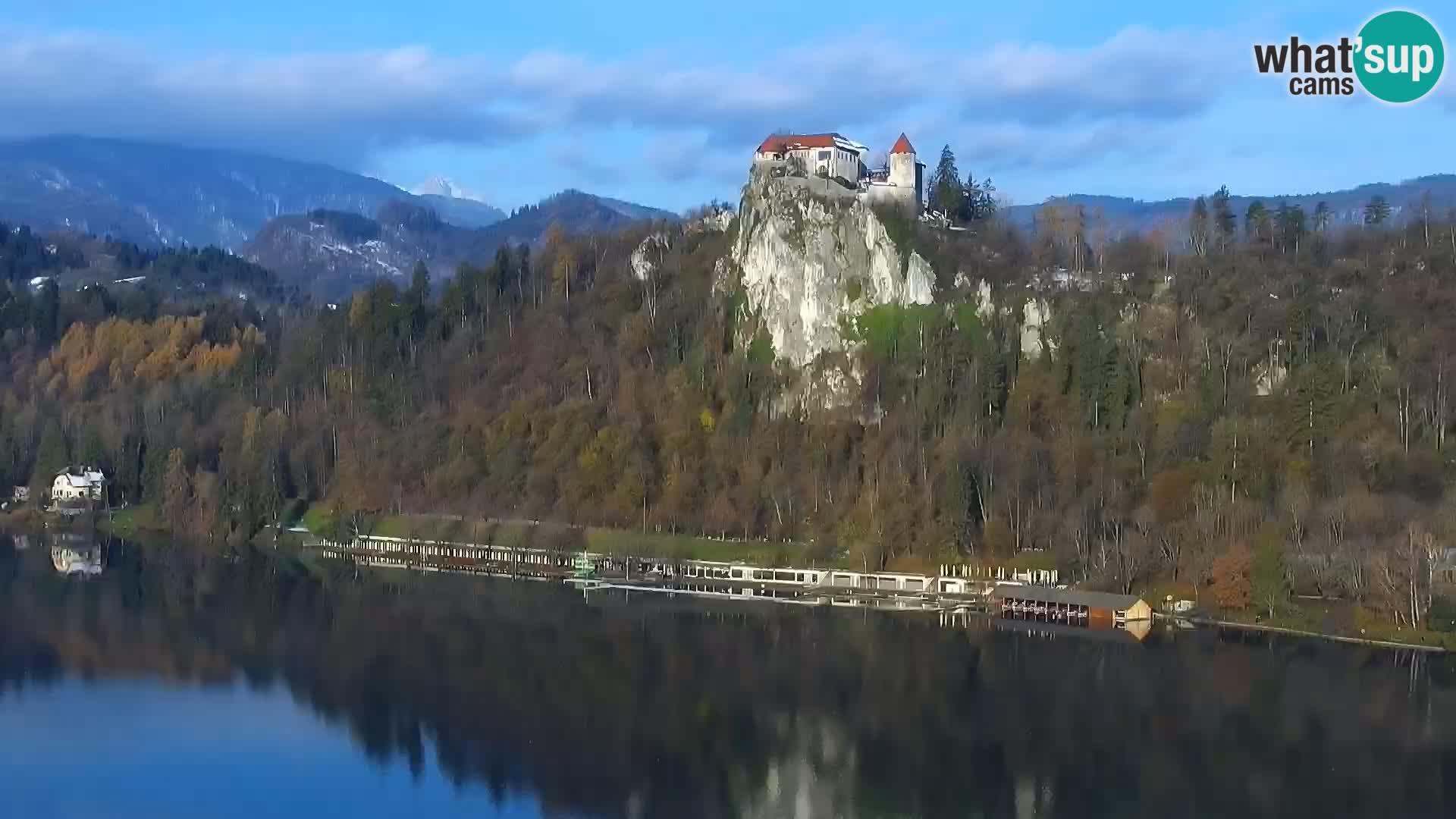 Panorama des Sees Bled