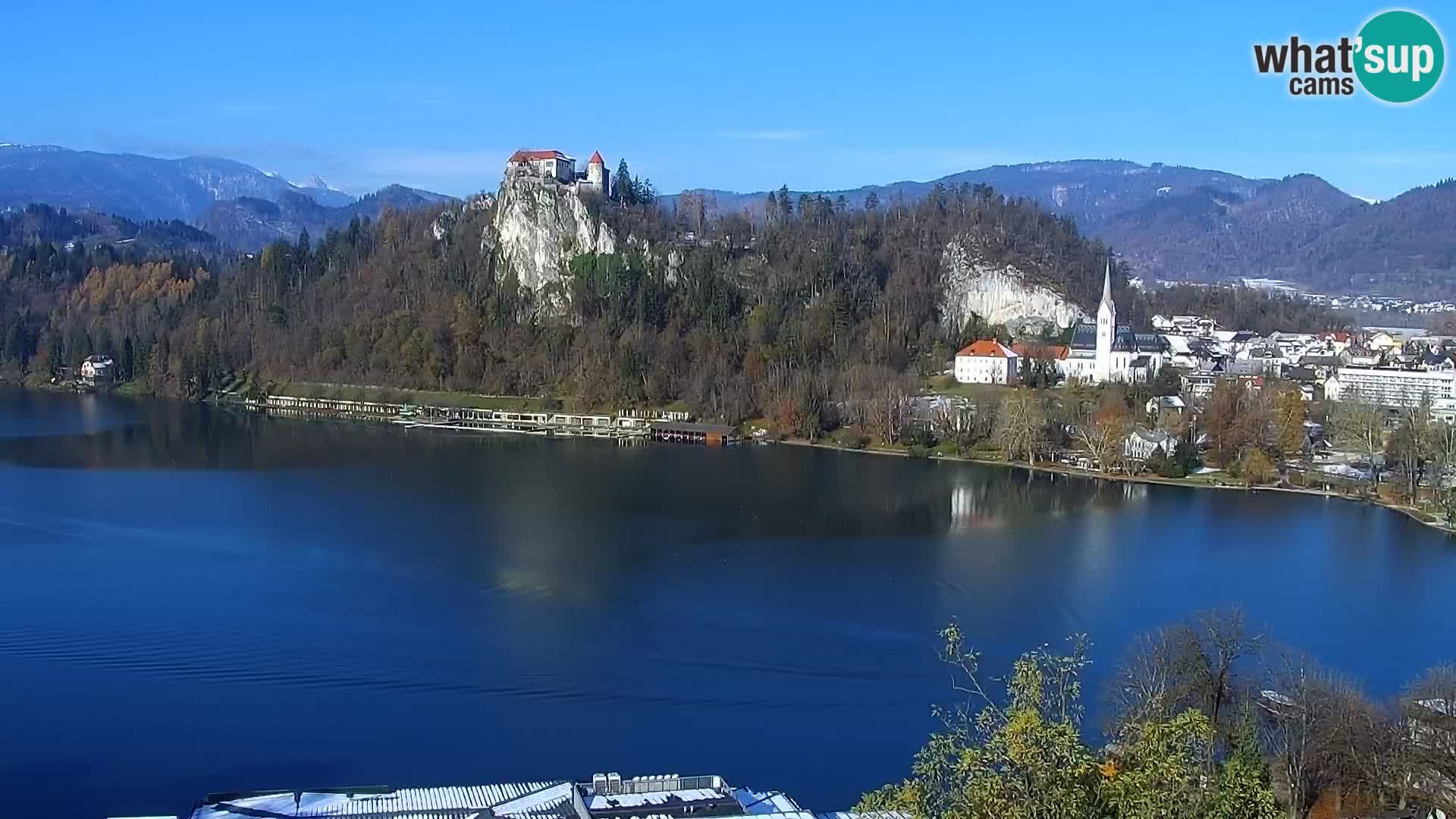 Panorama des Sees Bled