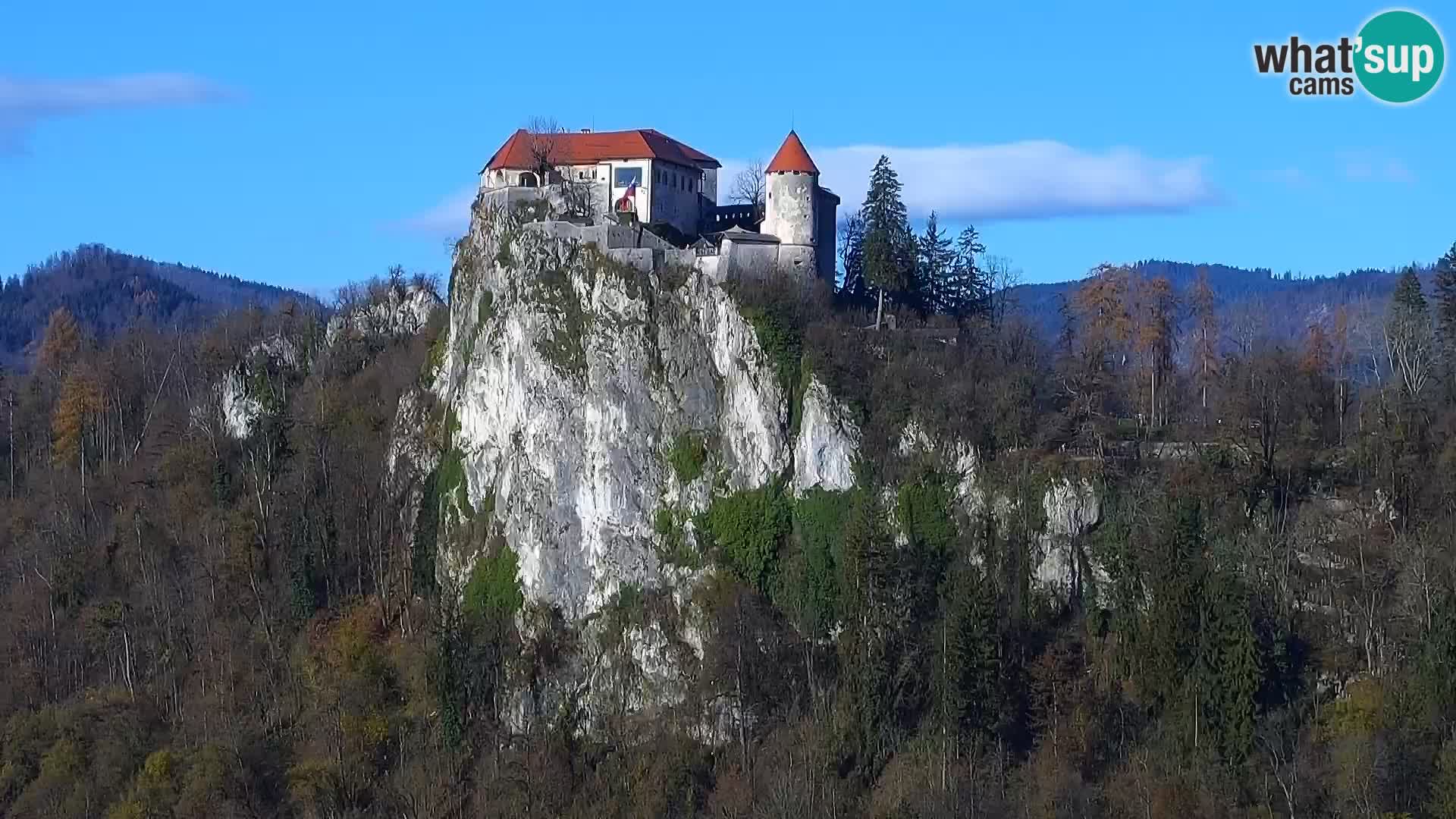 Panorama Bledskog jezera