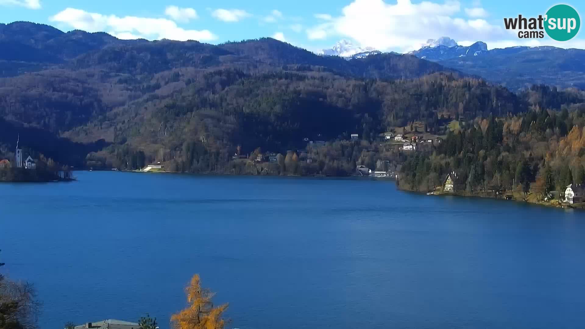 Panorama des Sees Bled