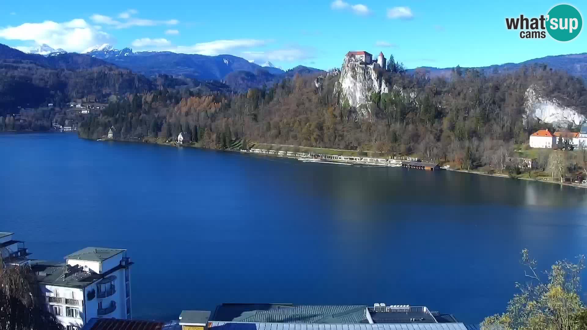 Panorama des Sees Bled