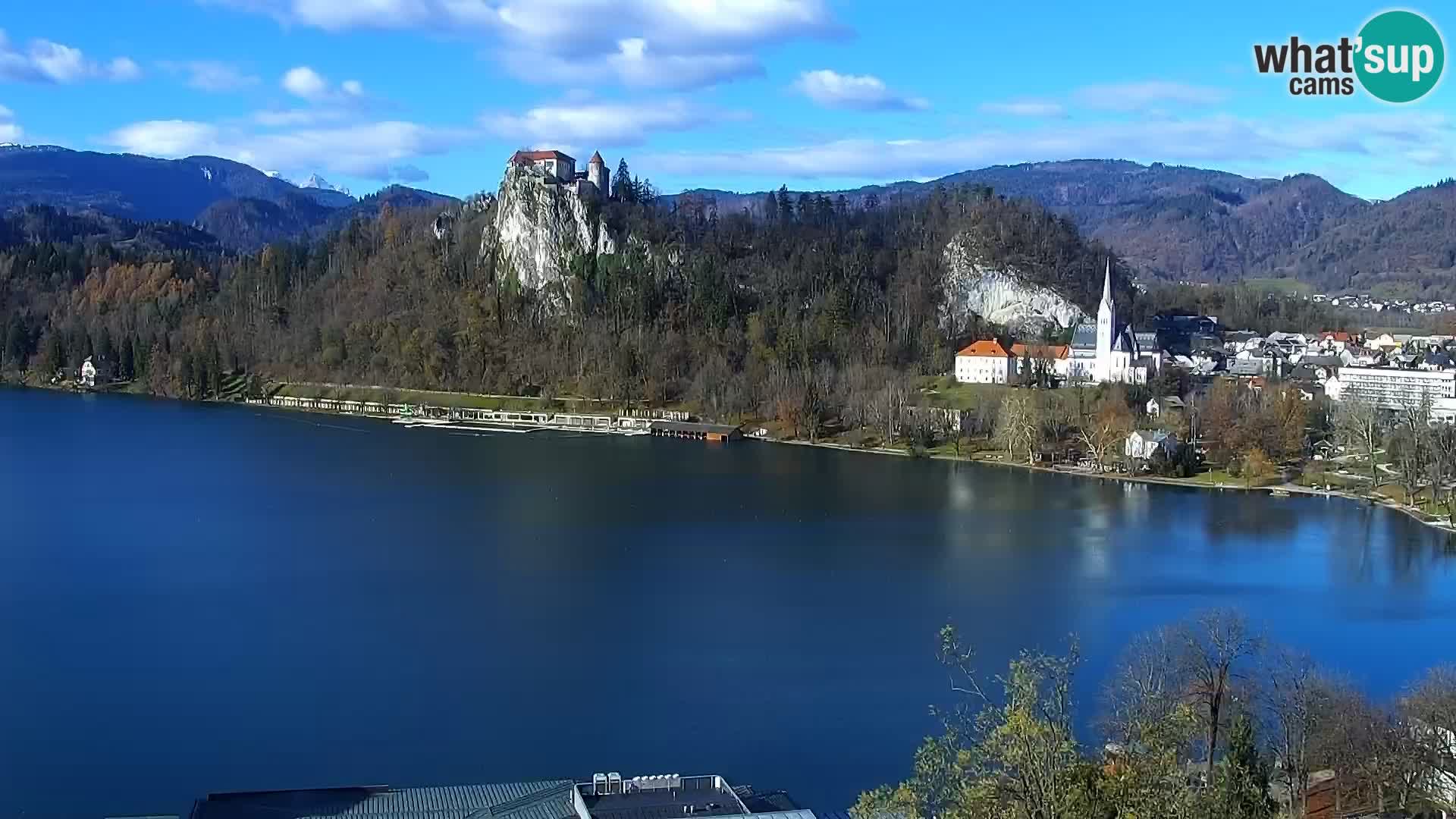 Panorama des Sees Bled