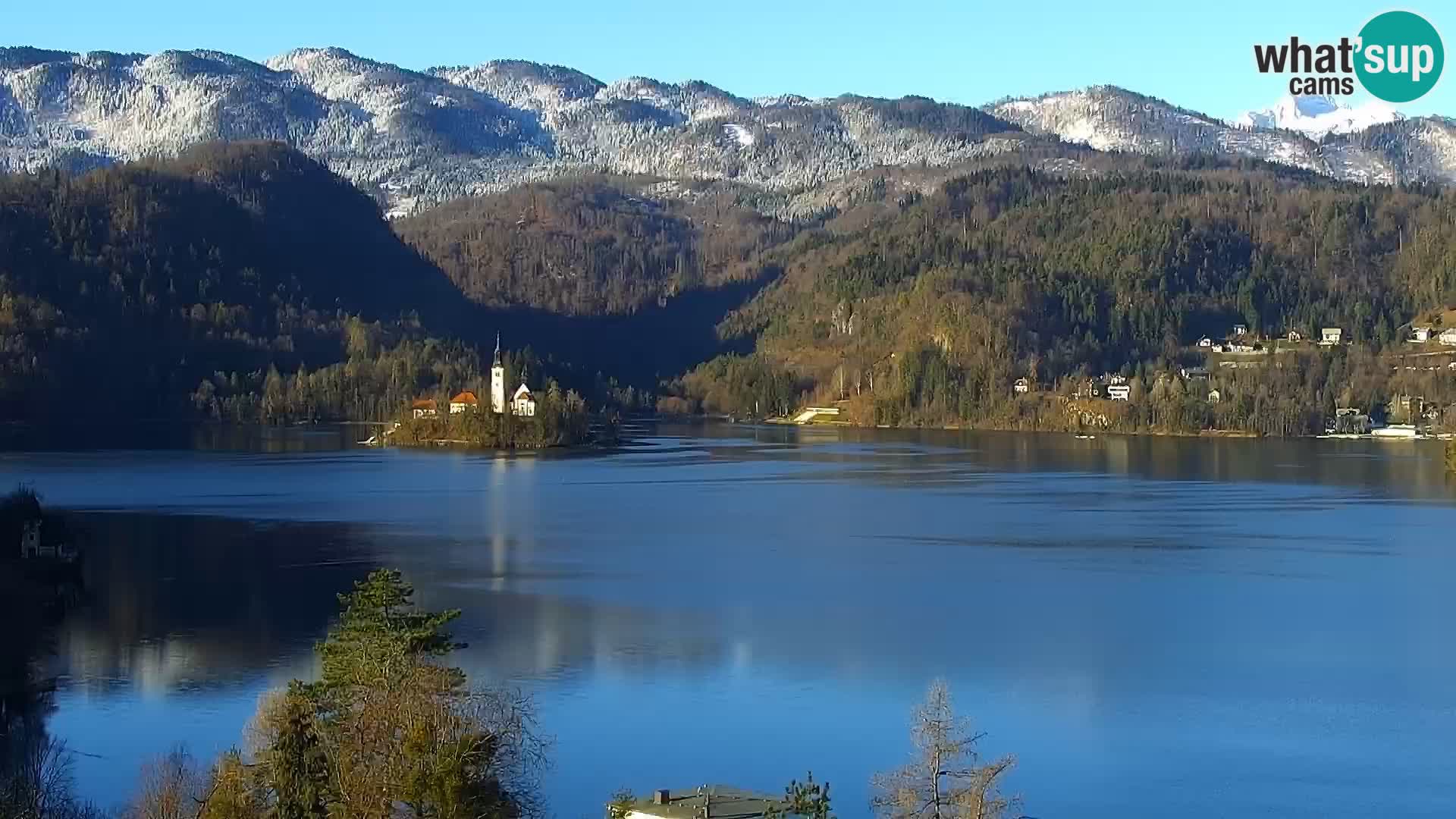 Panorama des Sees Bled