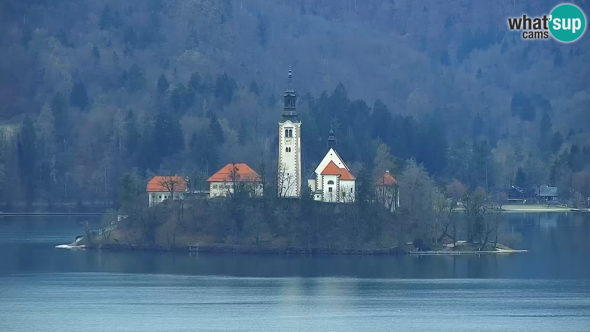 Panorama del lago Bled