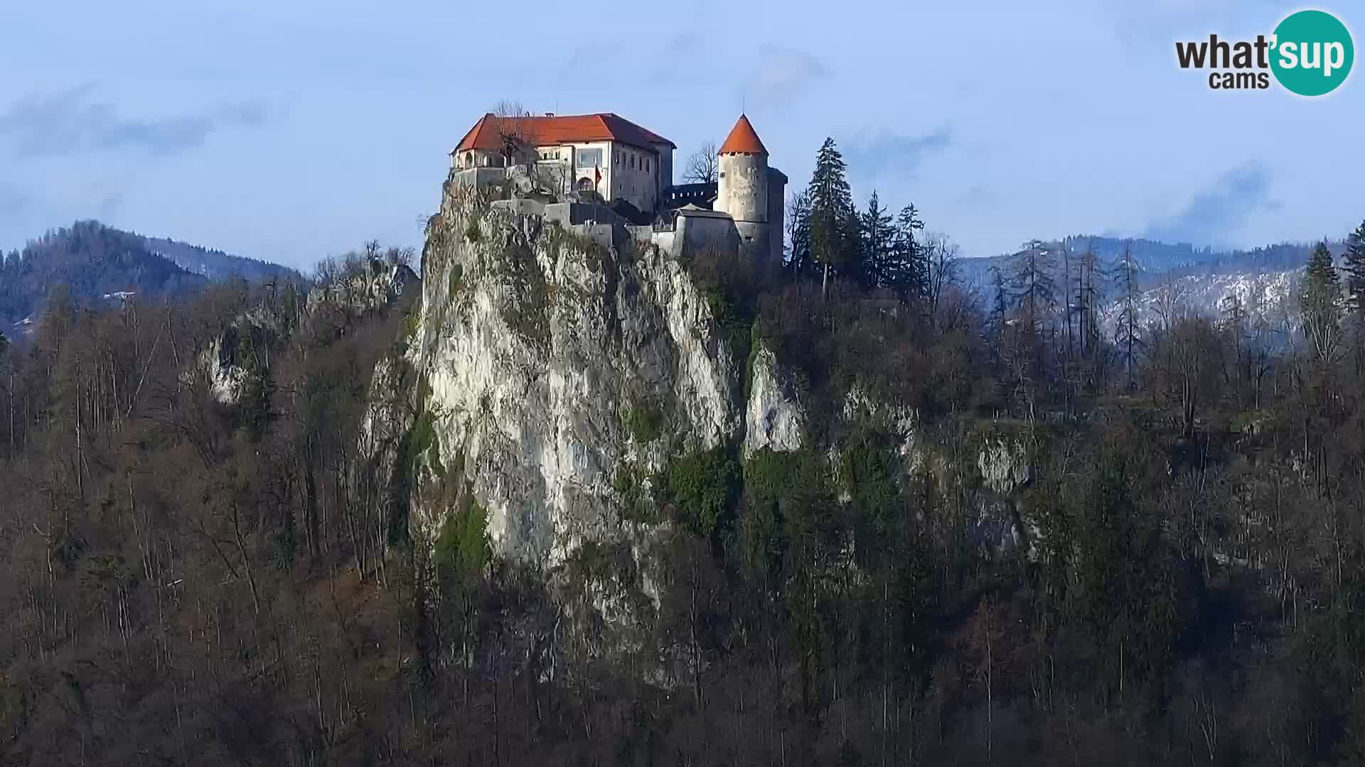 Panorama des Sees Bled