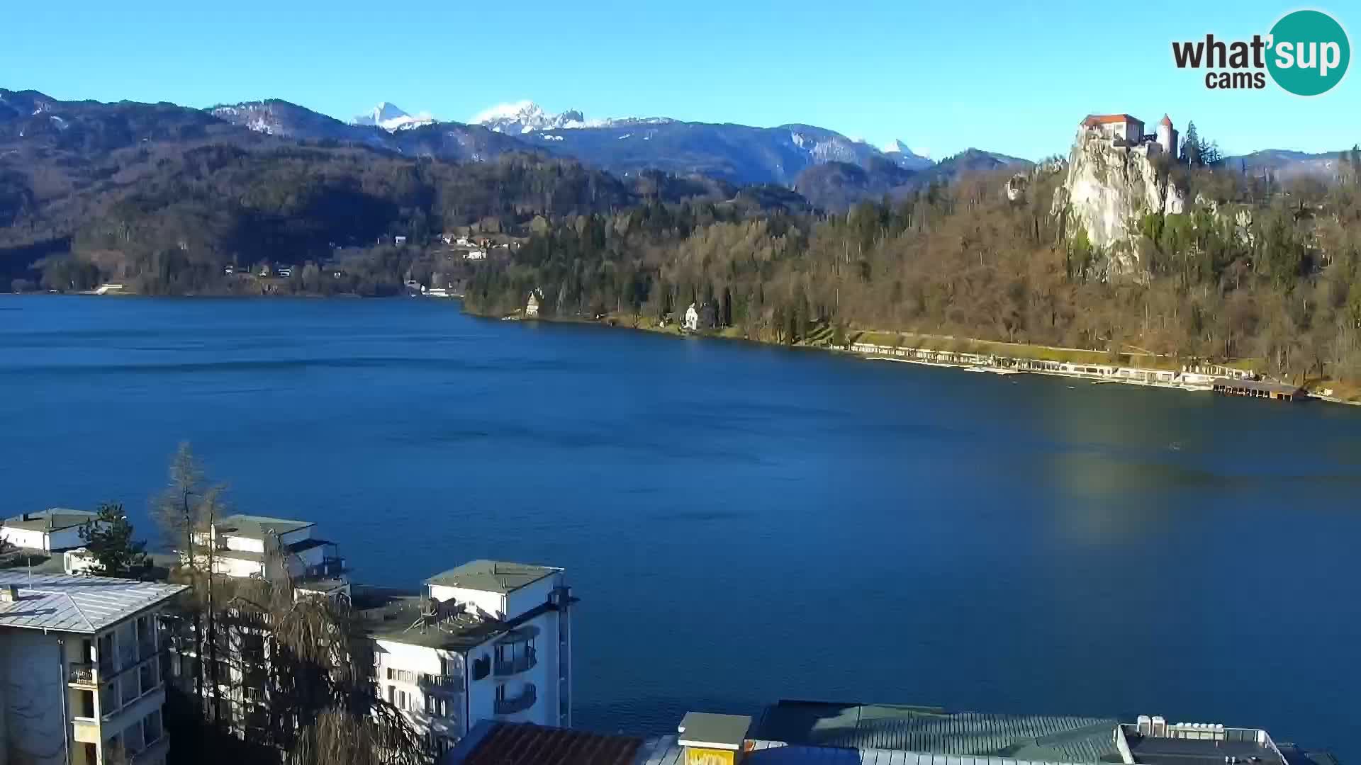 Panorama des Sees Bled