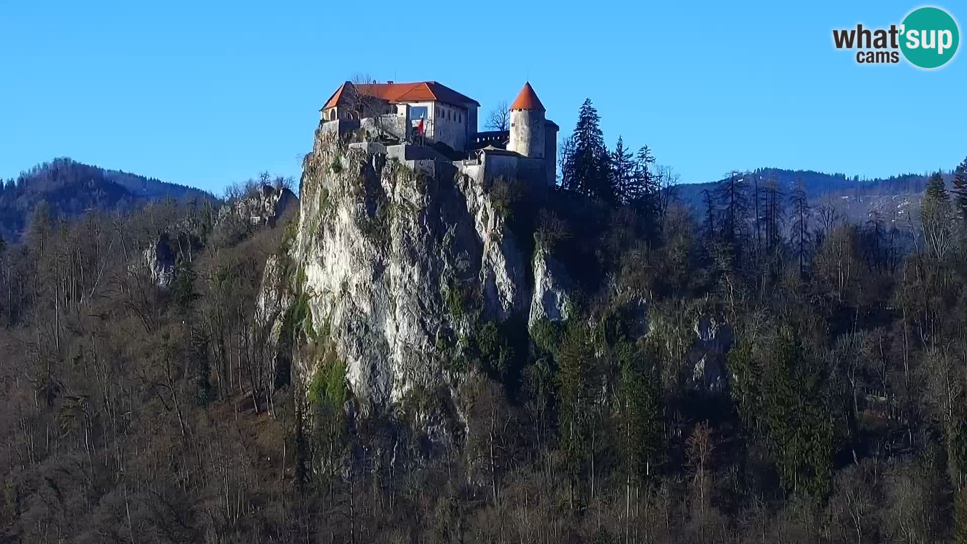 Panorama del lago Bled